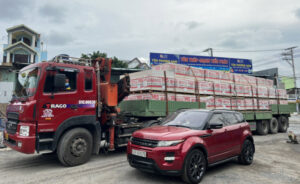 Cho thuê xe cẩu 15 tấn tại vận tải Mạnh Tiến Phát, giá rẻ, an toàn, nhanh chóng