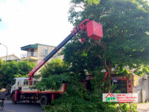 Cho thuê xe cẩu cắt cây xanh tiết kiệm, hỗ trợ nhanh chóng, chuyên nghiệp