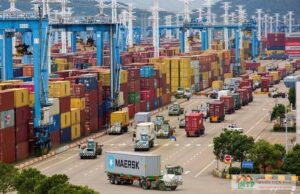 Tìm hiểu dịch vụ kéo container va vận tải đường bộ