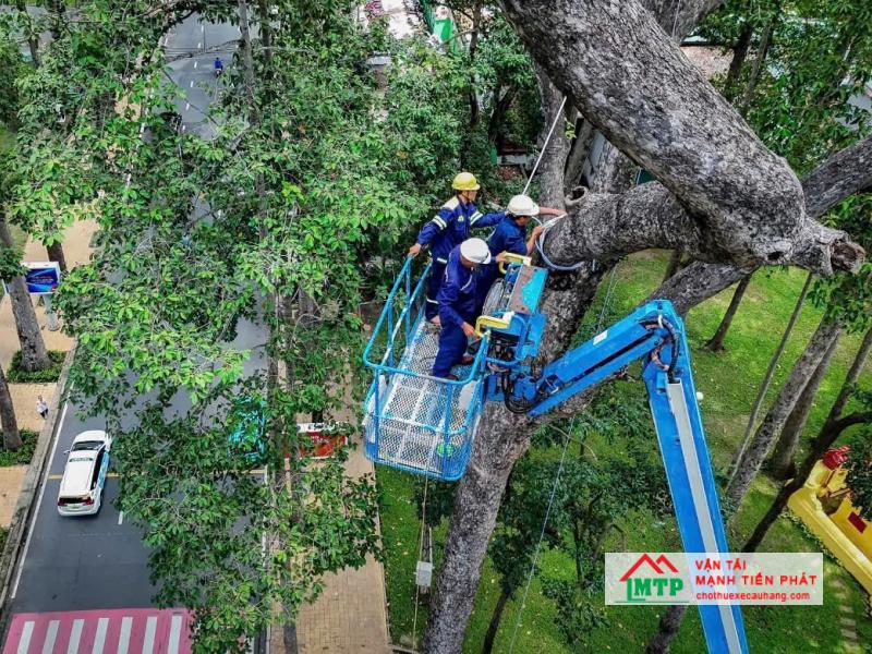 Vận Tải MTP cho thuê xe cẩu nâng người 10m cắt tỉa cây tại thành phố Gia Nghĩa