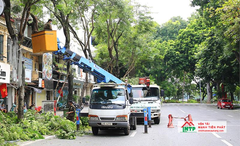 Thuê xe nâng người để cắt tỉa cây an toàn tại Đồng Nai