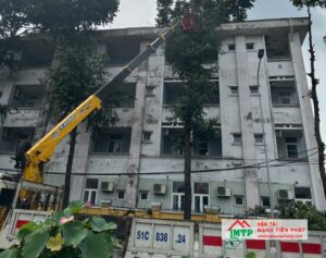 Cho thuê xe nâng người tại Ninh Thuận giá rẻ