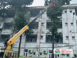 Dịch vụ cho thuê xe nâng người tại Tây Ninh giá rẻ