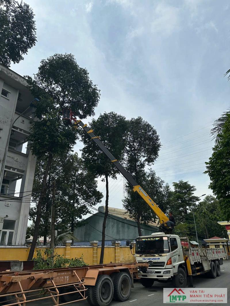 Nhu cầu thuê xe nâng người liên tục tăng mạnh