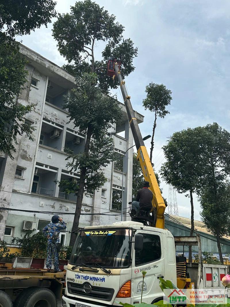 Xe nâng người hỗ trợ cắt tỉa cành cây cao
