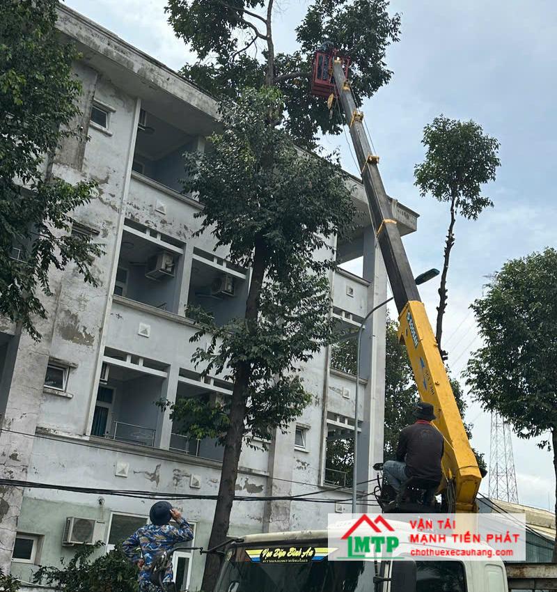 Khi thuê xe nâng người tại Bình Dương nên chọn đơn vị có kỹ thuật viên hỗ trợ để đảm bảo an toàn
