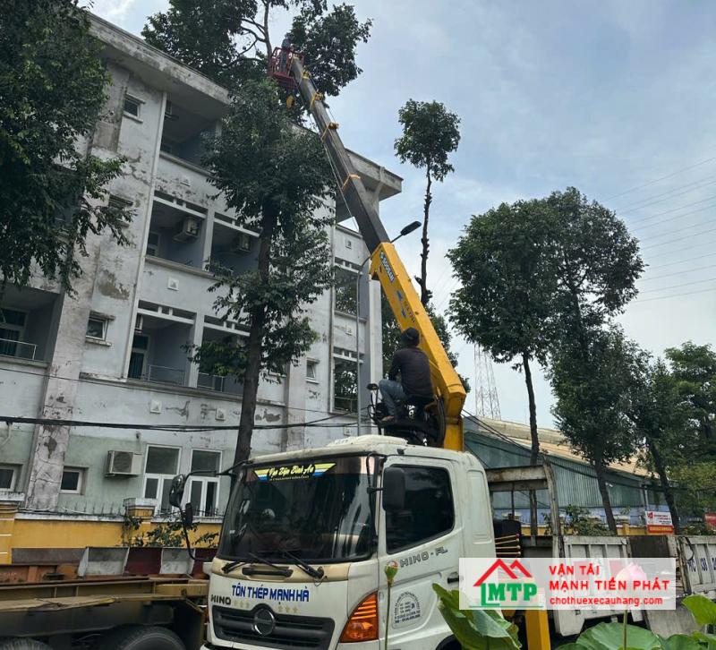 Vận Tải MTP cho thuê xe nâng người tại Bình Thuận cắt tỉa cây xanh an toàn, giá tốt