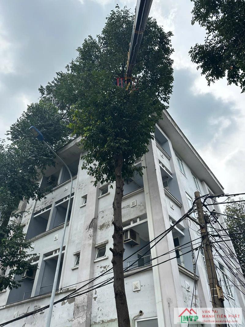 Ứng dụng dịch vụ cho thuê xe nâng trong nhiều dự án