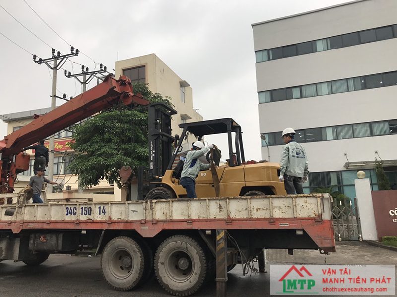 Nhu cầu thuê xe nâng rút container hiện nay