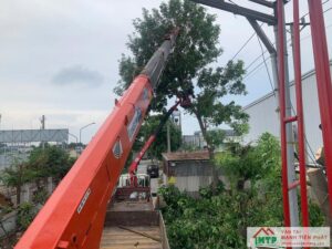 Báo Giá Cho Thuê Xe Nâng Người Theo Ngày - Tháng - Dài Hạn