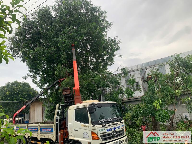 Các công trình, hạng mục phù hợp thuê theo ngày