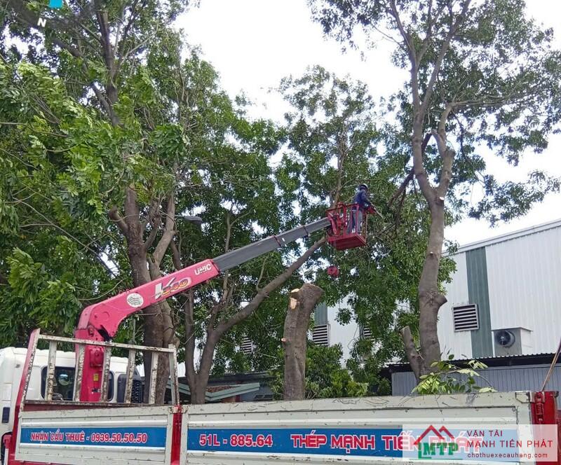 Thuê xe nâng người 10m - 12m